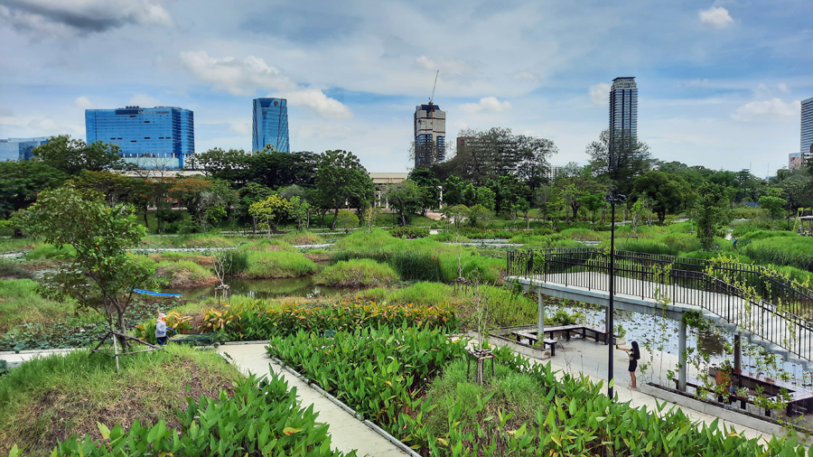 태국 방콕 벤자키티 삼림 공원 Benjakitti Forest Park in Bangkok, Thailand