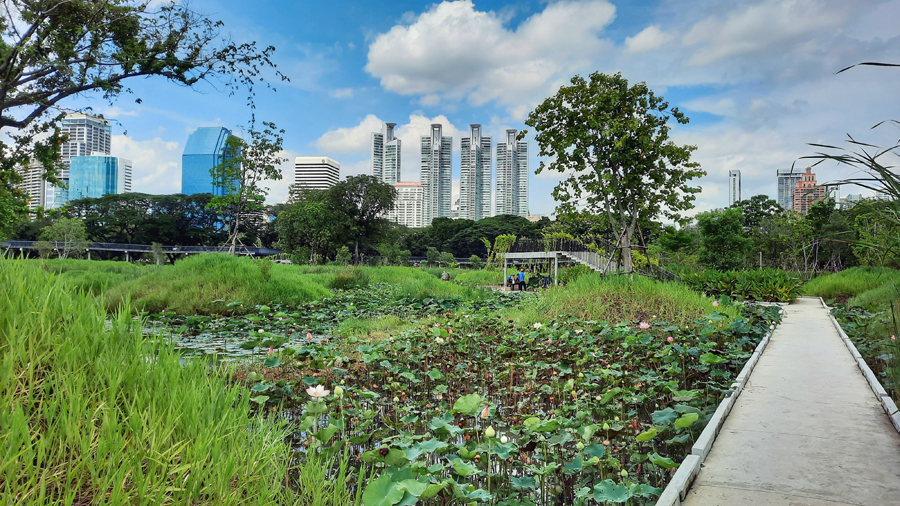 태국 방콕 벤자키티 삼림 공원 Benjakitti Forest Park in Bangkok, Thailand