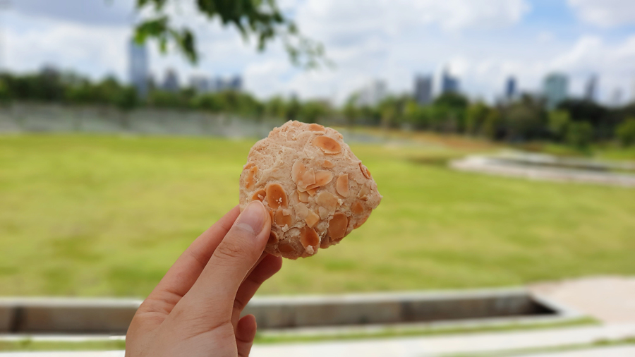 태국 방콕 벤자키티 삼림 공원에 앉아서 먹은 Nine Pastry의 타히니 쿠키 Tahini cookie from Nine Pastry at Benjakitti Forest Park in Bangkok, Thailand